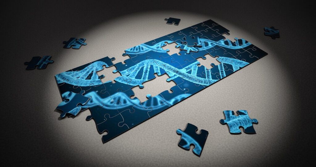 puzzle, dna, research, genetic, piece, 3d, healthcare, health, science, care, disease, medicine, gene, biology, medical, symbol, technology, jigsaw, connection, heredity, condition, illness, solution, cure, vaccine, vaccinate, immune, system, disorder, treatment, help, diagnosis, awareness, good, bad, finding, searching, unveil, problem, remove, fight, micro, dna, dna, dna, dna, dna, gene